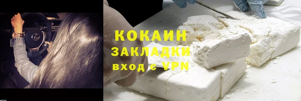 шишки Вязники