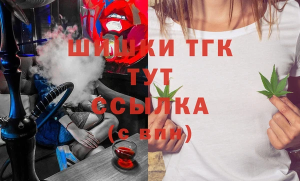 шишки Вязники